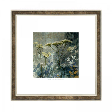 Clarity Framed Print by Sabrina Roscino